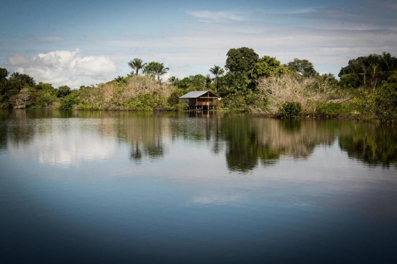 Lodge View Manaus